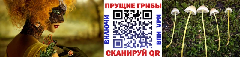 Псилоцибиновые грибы ЛСД  купить  сайты  Лабытнанги 